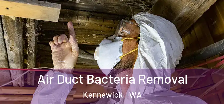  Air Duct Bacteria Removal Kennewick - WA