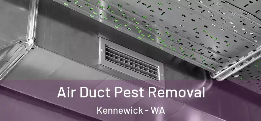  Air Duct Pest Removal Kennewick - WA