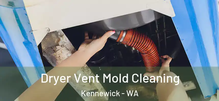  Dryer Vent Mold Cleaning Kennewick - WA