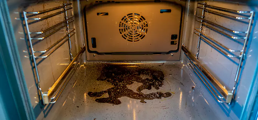 Our Dryer Vent Mold Cleaning Services in Kennewick, WA