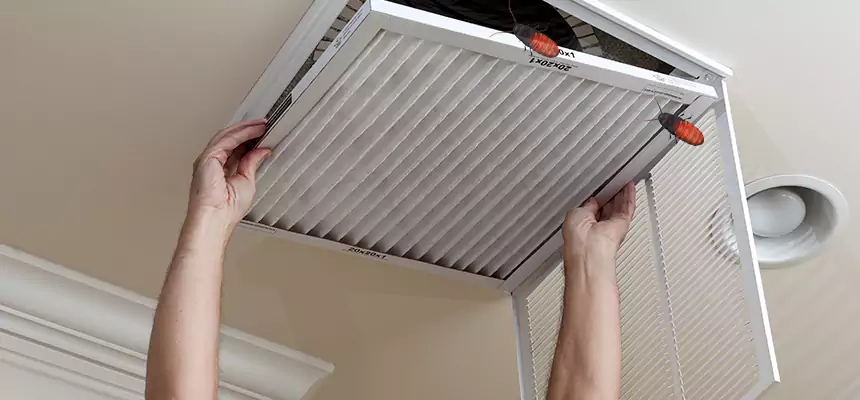 Our Insect Removal from Air Ducts Services in Kennewick, WA