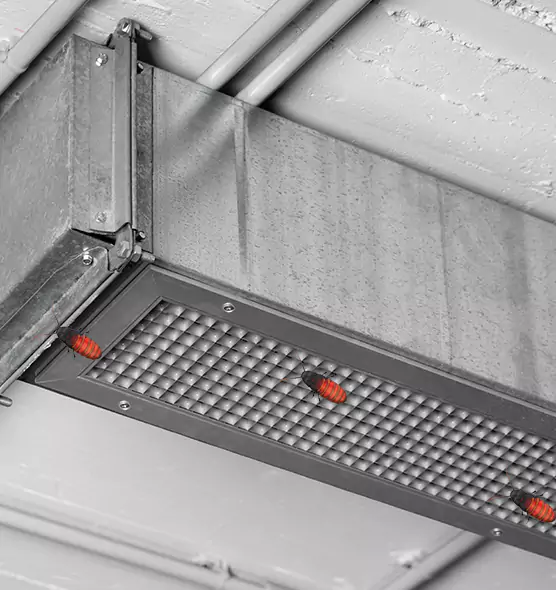 About Air Duct Cockroach Removal in Kennewick, WA