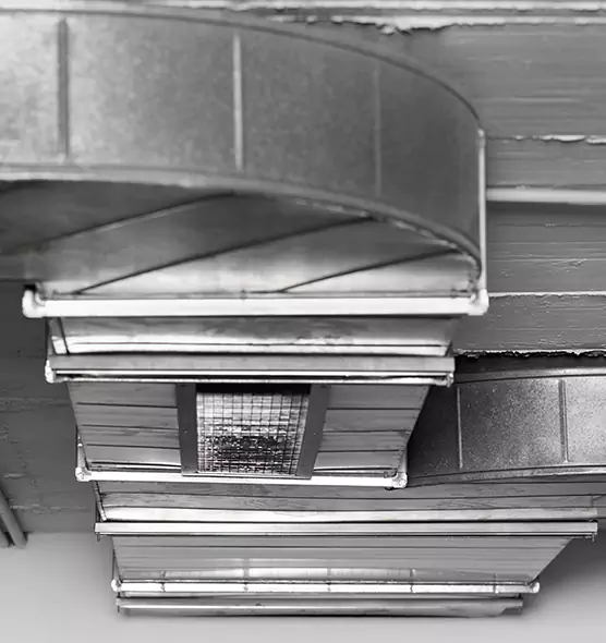 Professional Air Duct Pest Removal in Kennewick, WA