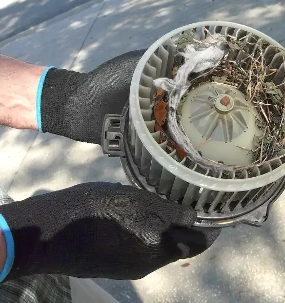 About Air Duct Rat Removal in Kennewick, WA